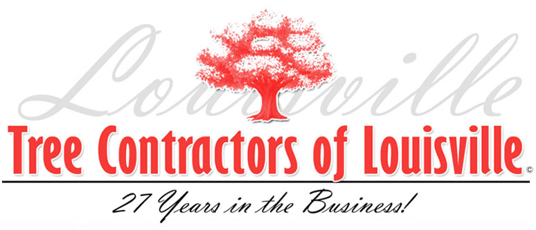 Tree Contractors Logo